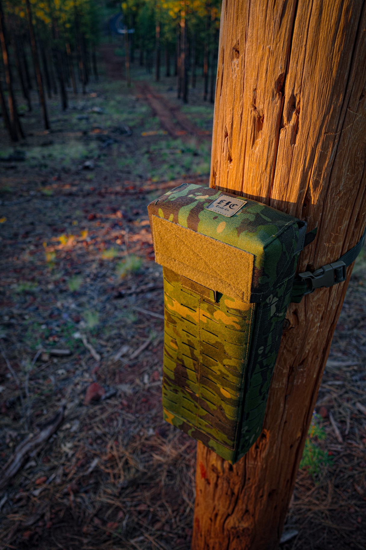 Glove bag strapped to a utility pole at golden hour