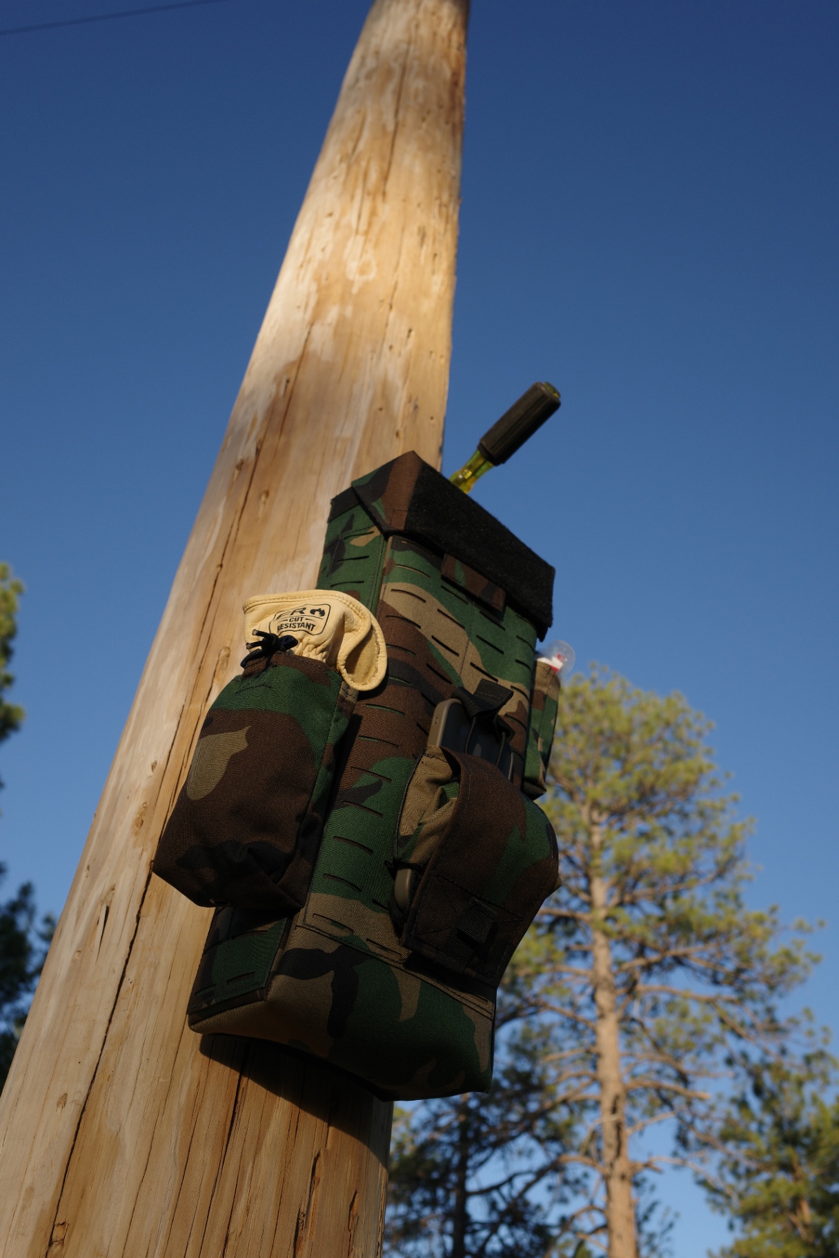 M81 Woodland glove bag mounted to a utility pole with a screwdriver stowed in the MOLLE