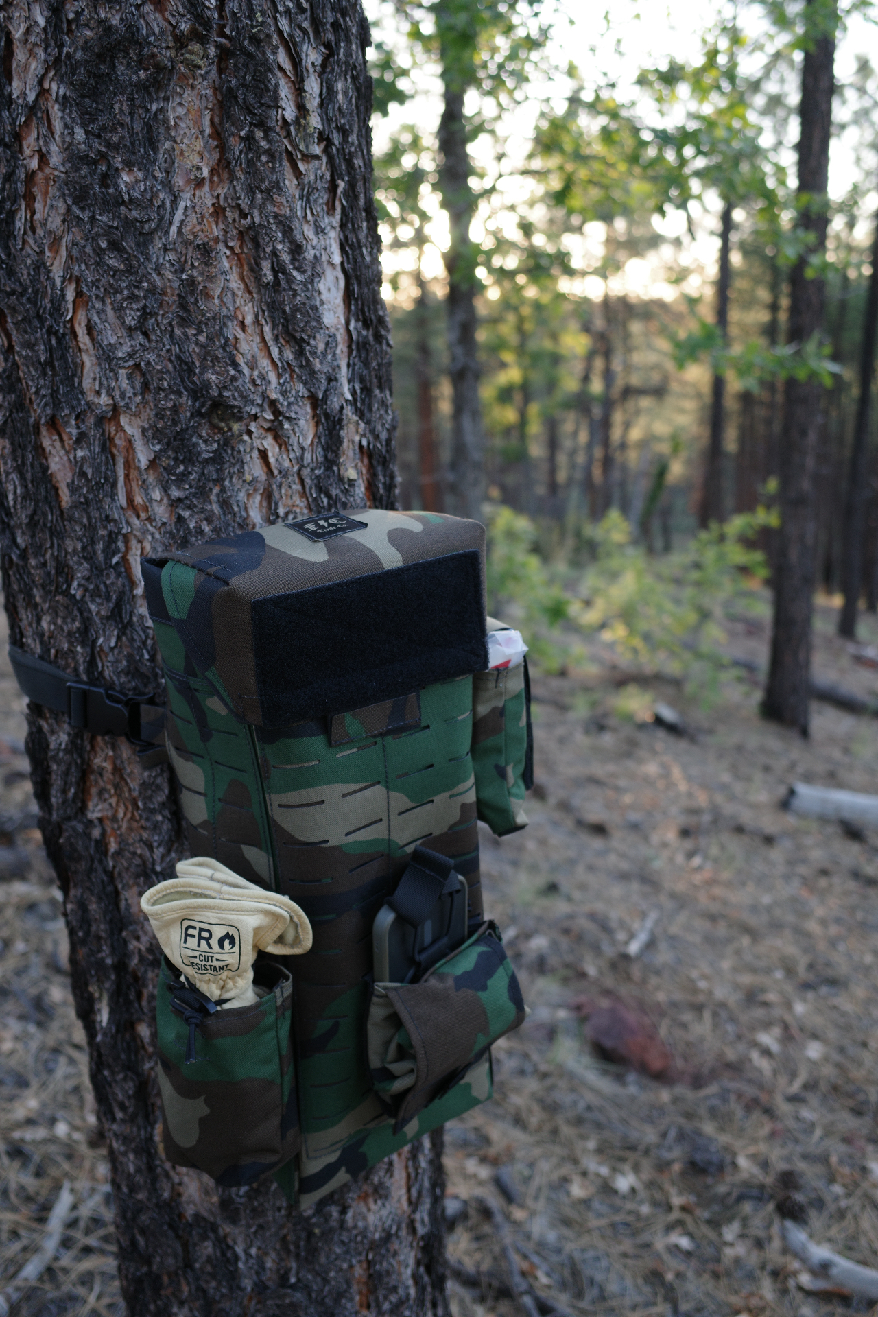 M81 Woodland Fieldcraft glove bag strapped to a pine tree with FR cut-resistant gloves stowed